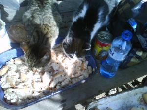 Прикачена снимка