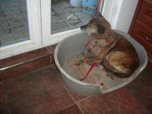 Прикачена снимка