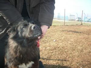 Прикачена снимка