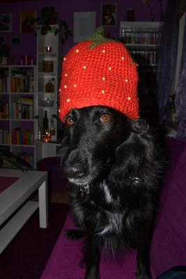 Прикачена снимка