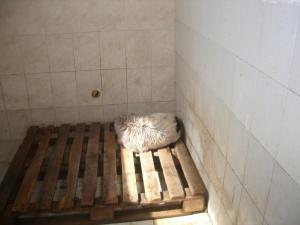 Прикачена снимка