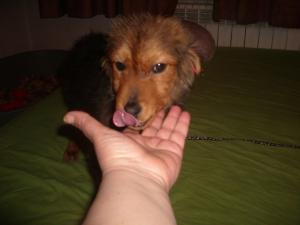 Прикачена снимка
