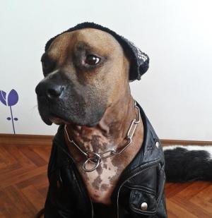 Прикачена снимка