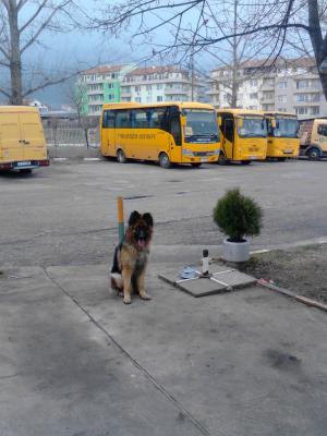 Прикачена снимка