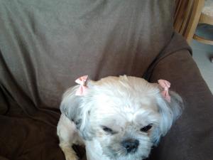 Прикачена снимка