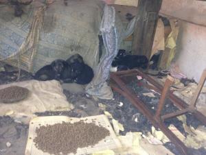 Прикачена снимка