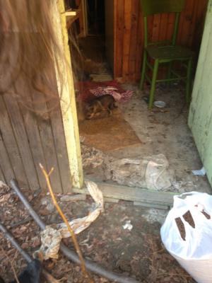 Прикачена снимка