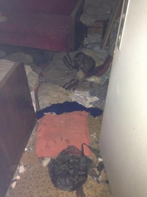 Прикачена снимка