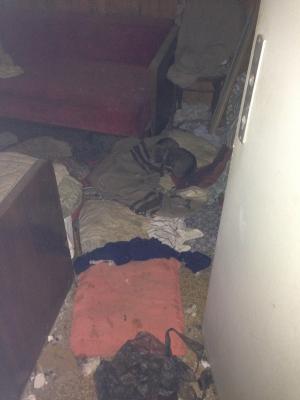 Прикачена снимка