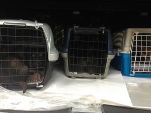 Прикачена снимка