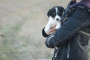 Прикачена снимка