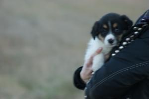 Прикачена снимка