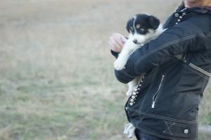 Прикачена снимка