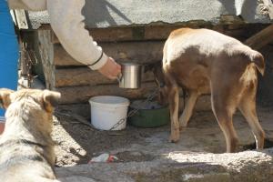 Прикачена снимка