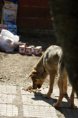 Прикачена снимка