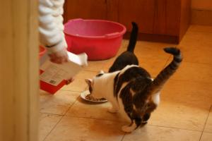 Прикачена снимка