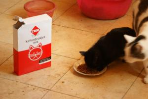 Прикачена снимка