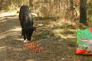 Прикачена снимка