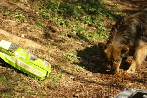 Прикачена снимка