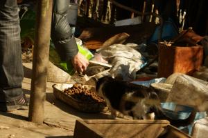 Прикачена снимка