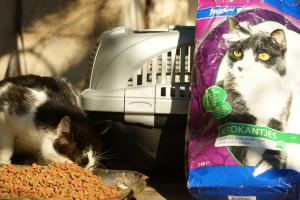 Прикачена снимка