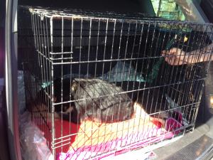 Прикачена снимка