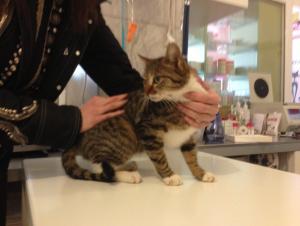 Прикачена снимка