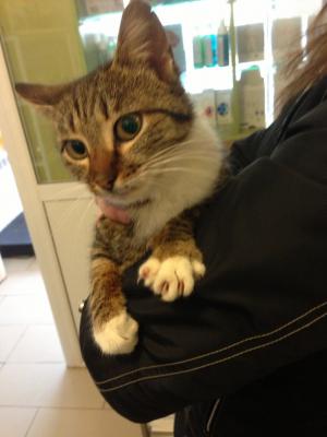 Прикачена снимка