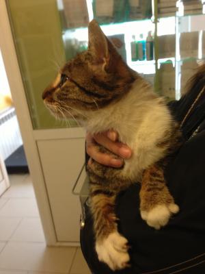 Прикачена снимка