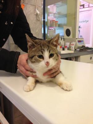 Прикачена снимка