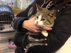 Прикачена снимка