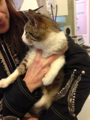 Прикачена снимка