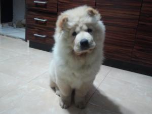 Прикачена снимка