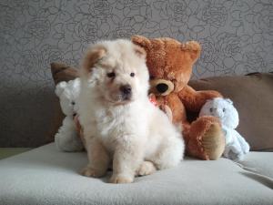 Прикачена снимка