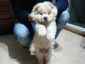 Прикачена снимка