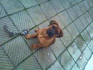 Прикачена снимка