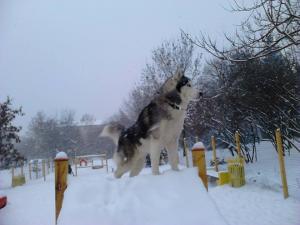 Прикачена снимка