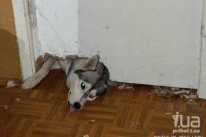 Прикачена снимка