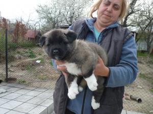 Прикачена снимка