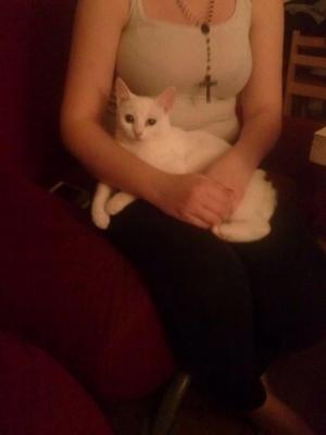 Прикачена снимка