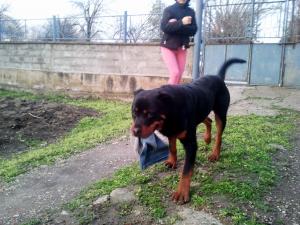 Прикачена снимка