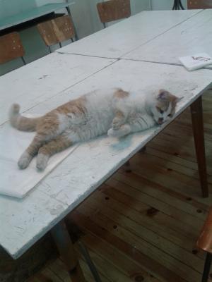 Прикачена снимка