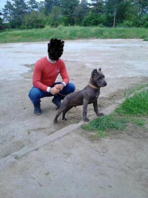 Прикачена снимка