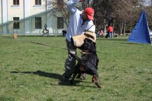 Прикачена снимка