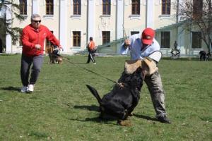 Прикачена снимка