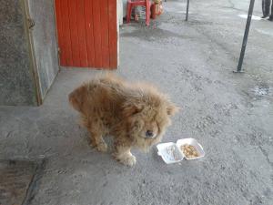 Прикачена снимка