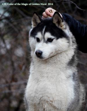 Прикачена снимка