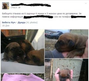Прикачена снимка