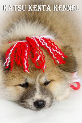 Прикачена снимка