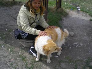 Прикачена снимка